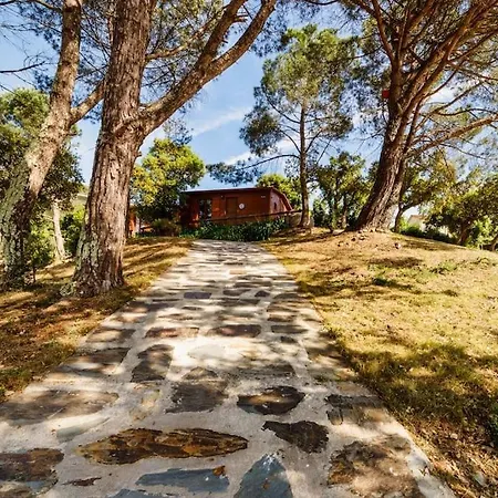 Arrabia Bunga Payva Country house *