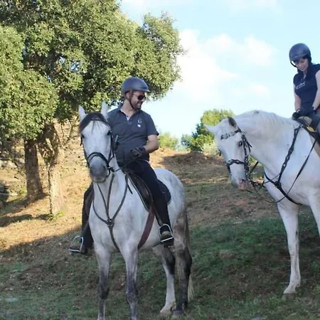 Arrabia Bunga Payva *