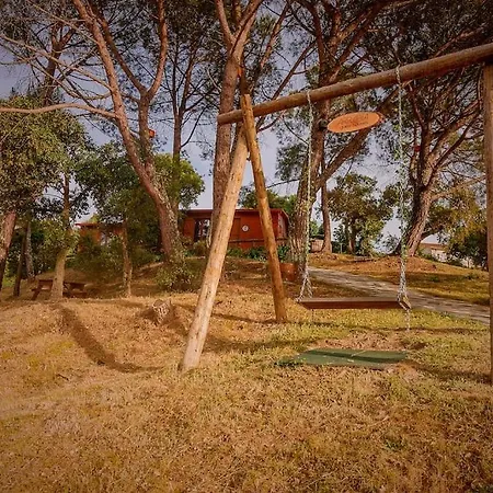 Arrabia Bunga Payva *