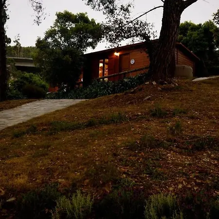 Arrabia Bunga Payva * Raiva