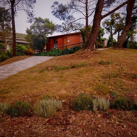 컨트리하우스 Arrabia Bunga Payva