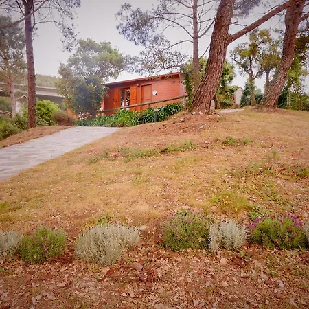 Arrabia Bunga Payva Raiva