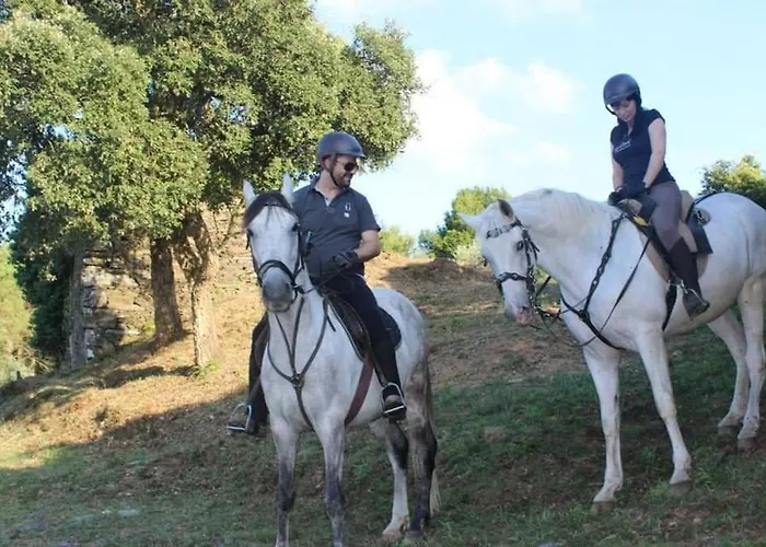 Arrabia Bunga Payva *