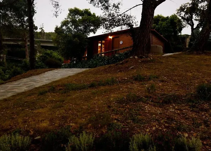 Arrabia Bunga Payva * Raiva