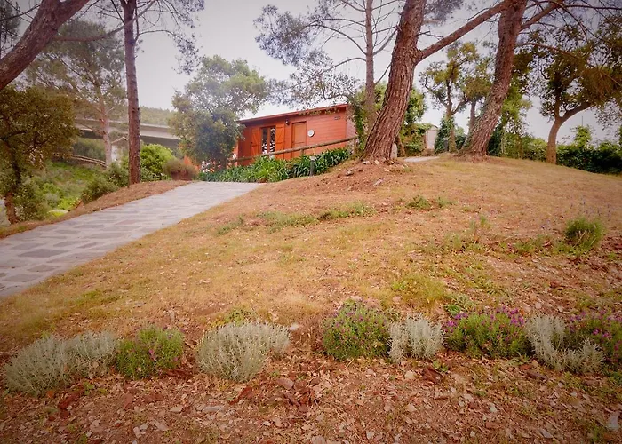 Arrabia Bunga Payva Raiva